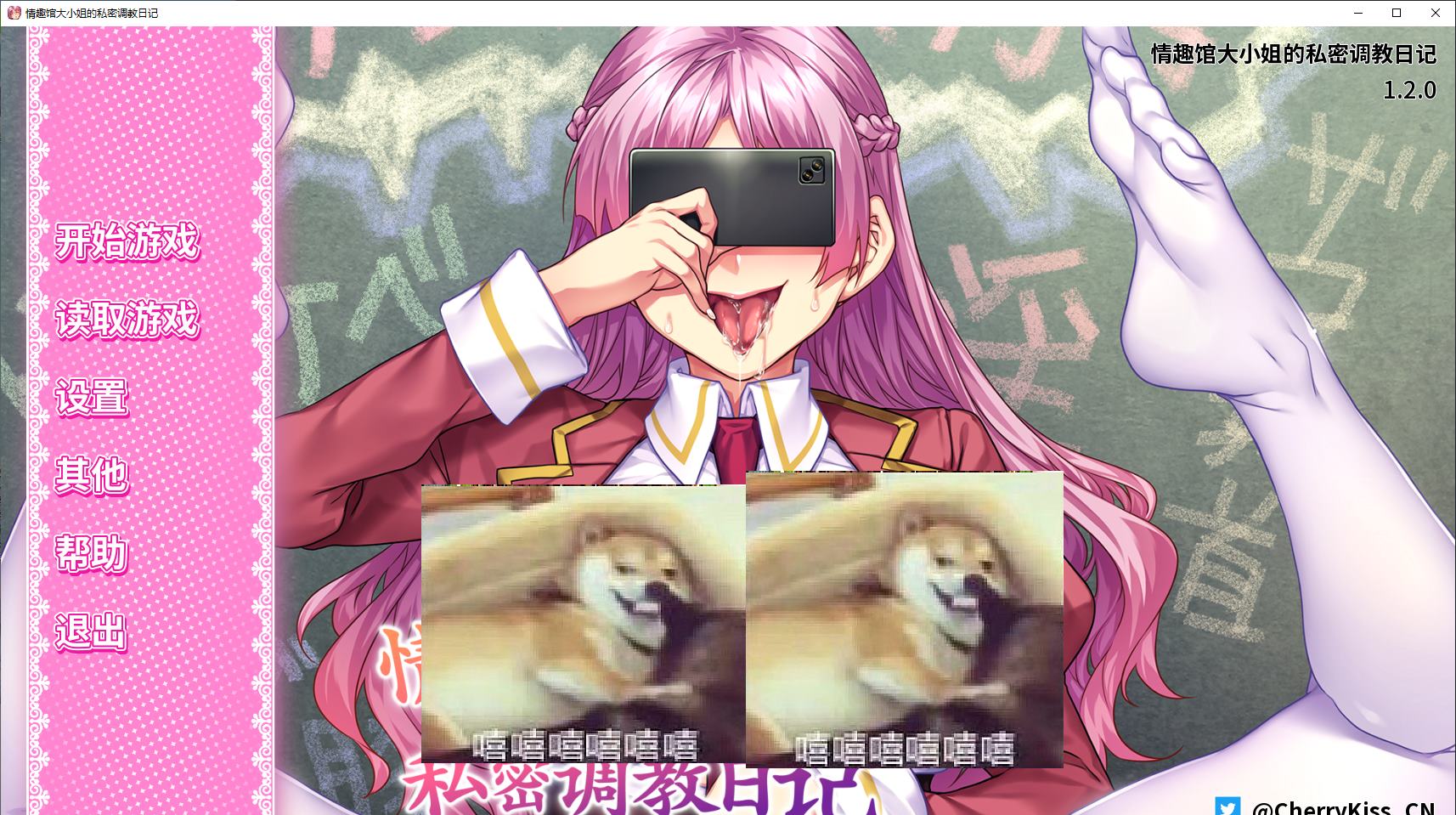 【拔作ADV/中文/CV】情趣馆大小姐的私密调教日记 付MAC 步兵中文版【新作/4.4GG】-ACG甜心吧